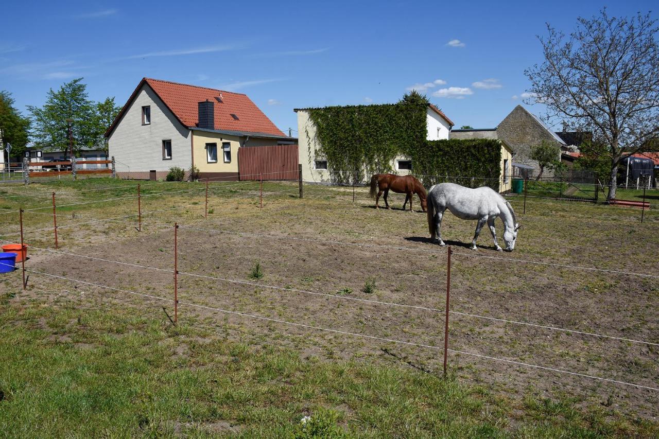 Barrierefreie Ferienwohnung Trueben Bornum Екстериор снимка